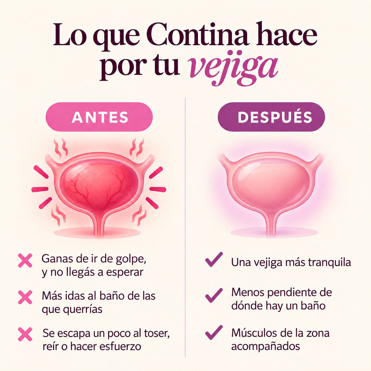 Infografía: lo que Contina hace por tu vejiga, antes y después