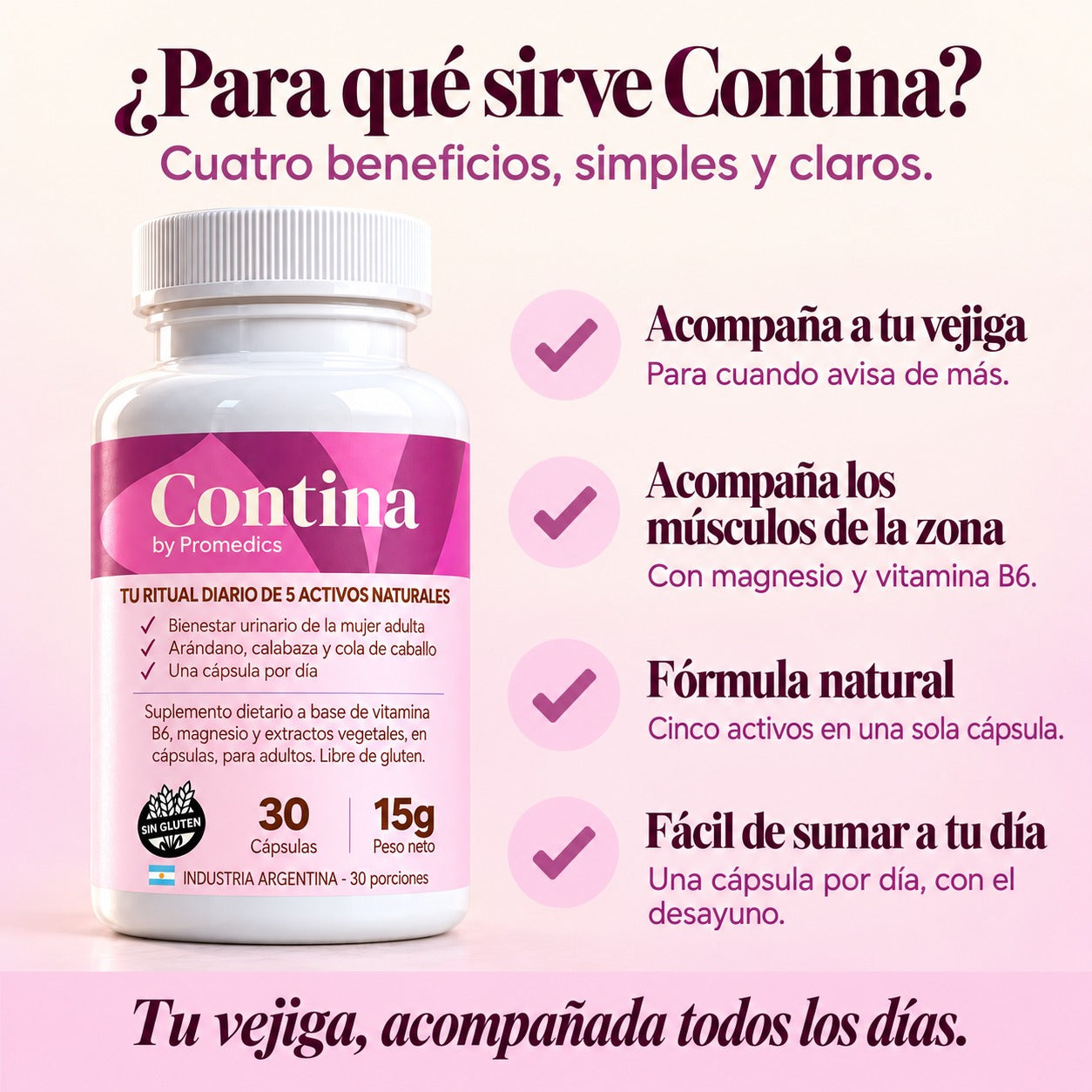 Infografía: para qué sirve Contina