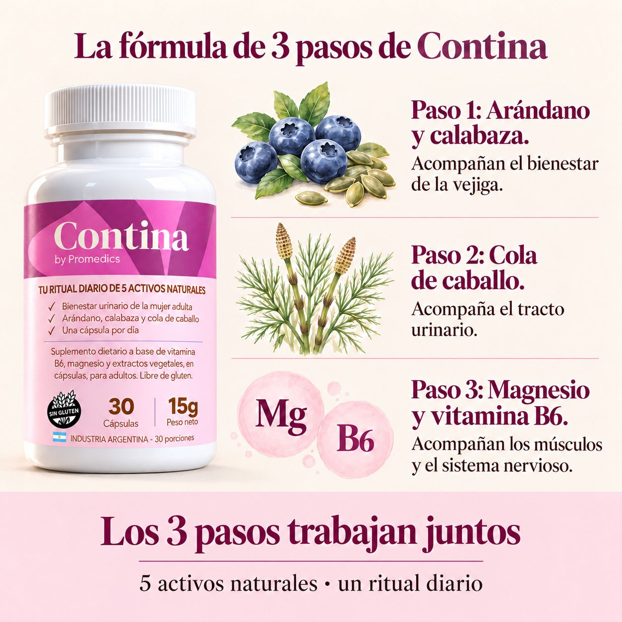 Infografía: la fórmula de 3 pasos de Contina